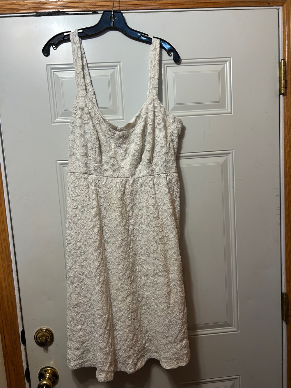 Torrid Lace A-Line Sundress in Ivory - Women's Sleeveless Dress 2
